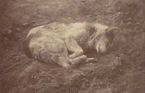 (Schlafender Hund)